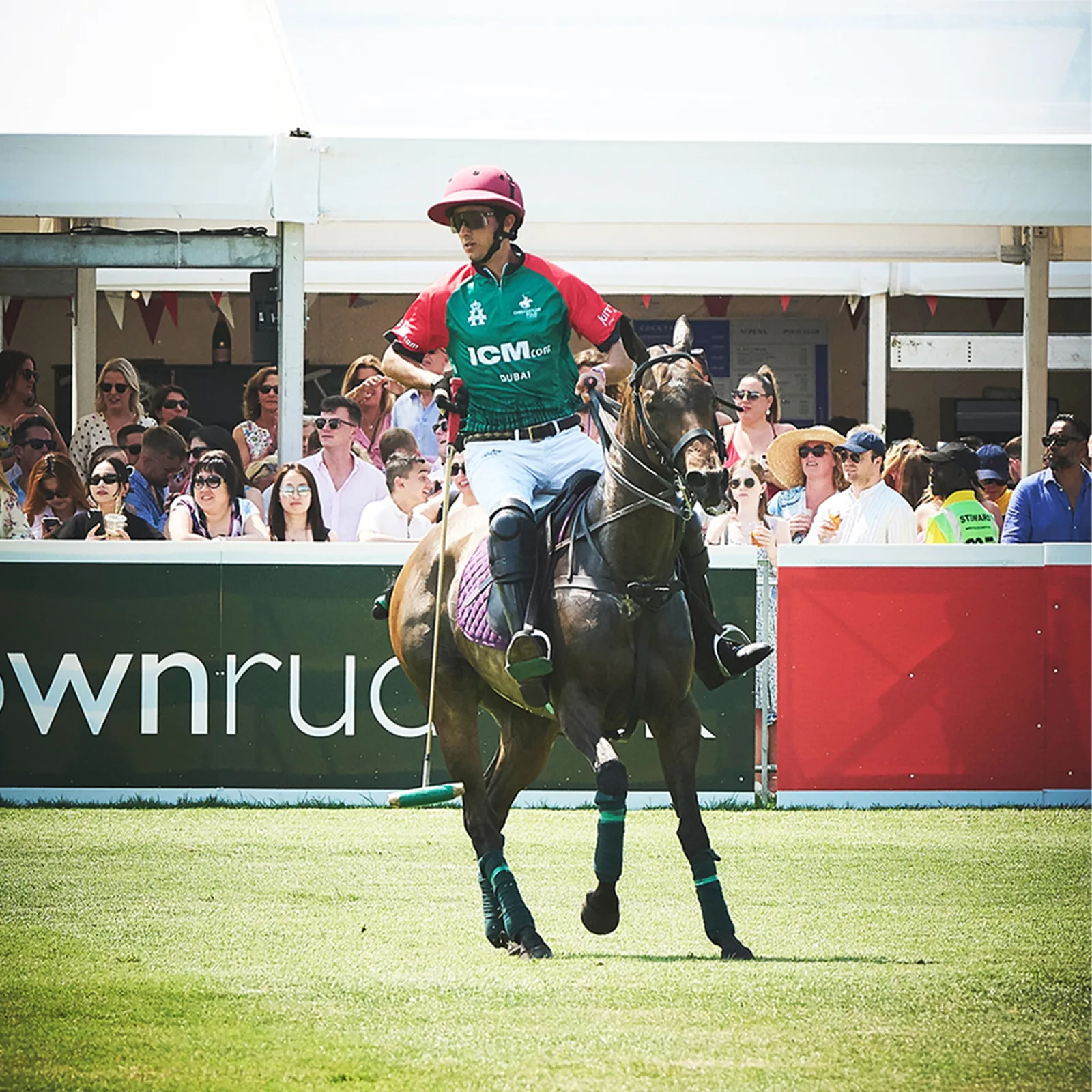 Polo rider and horse at Chestertons Polo in the Park with ICM-branded team clothing.